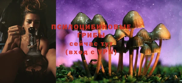 героин Абаза