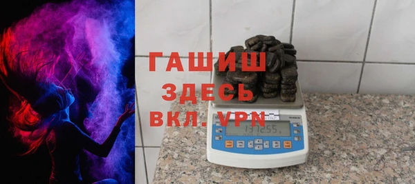 хмурый Алексин